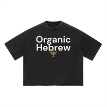 Load image into Gallery viewer, hebrew,hebrewisraelite,israelite,bible,torah