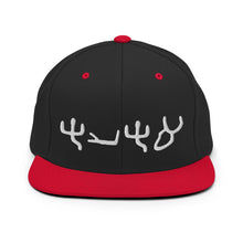 Load image into Gallery viewer, Pictograph AHAYA, Snapback Hat
