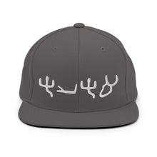 Load image into Gallery viewer, Pictograph AHAYA, Snapback Hat