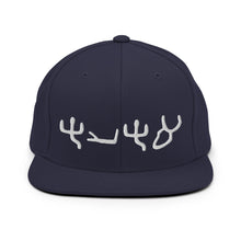 Load image into Gallery viewer, Pictograph AHAYA, Snapback Hat