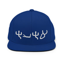 Load image into Gallery viewer, Pictograph AHAYA, Snapback Hat