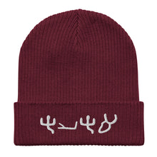 Load image into Gallery viewer, Pictograph AHAYA, Organic beanie