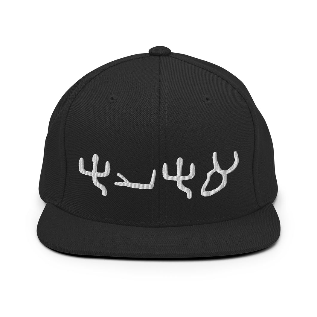 Pictograph AHAYA, Snapback Hat