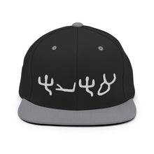 Load image into Gallery viewer, Pictograph AHAYA, Snapback Hat
