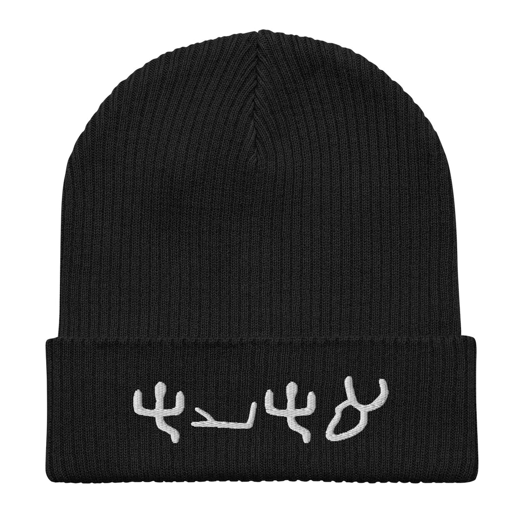 Pictograph AHAYA, Organic beanie